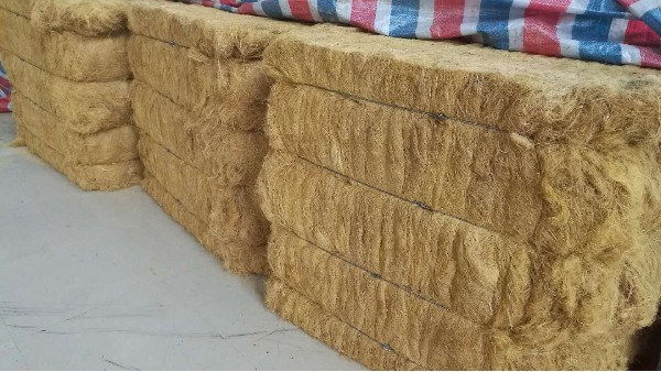 太萌竹木纖維生產(chǎn)基地實(shí)現(xiàn)規(guī)?；a(chǎn)